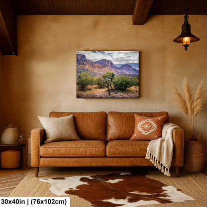 Catalina Mountains Scenic View Arizona Desert Sonoran Landscape Nature Photography Wall Art