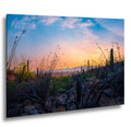 Sonoran Desert Sunset with Saguaros and Ocotillo - Saguaro National Park East Tucson Photography Print