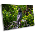 A print wall art depicting a black Anhinga bird perched on branches in a wetland setting, with vibrant green foliage in the background.