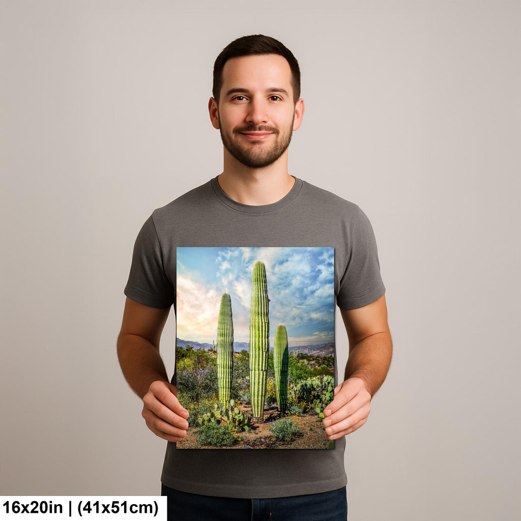 Towering Saguaros and Desert Sky, Saguaro National Park Tucson Arizona Photography Print