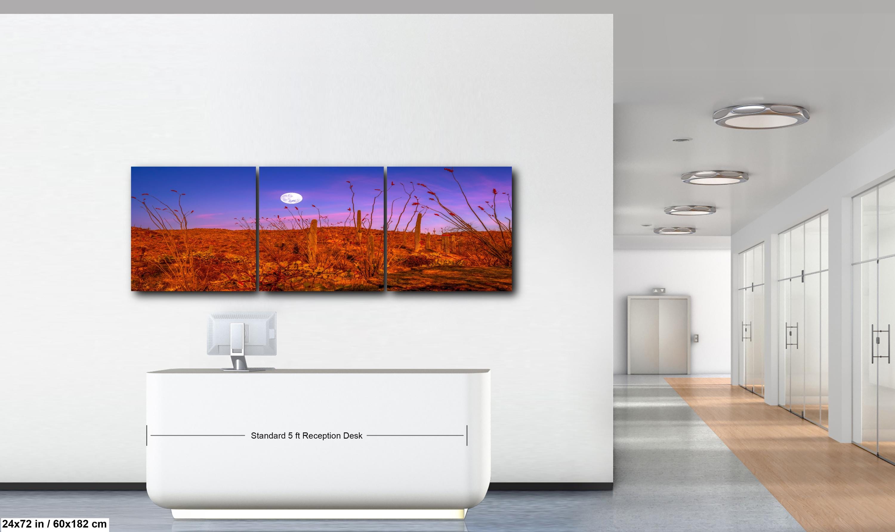 Sonoran Desert Full Moon Print – Saguaros, Ocotillo, Twilight Sky Photography Wall Art