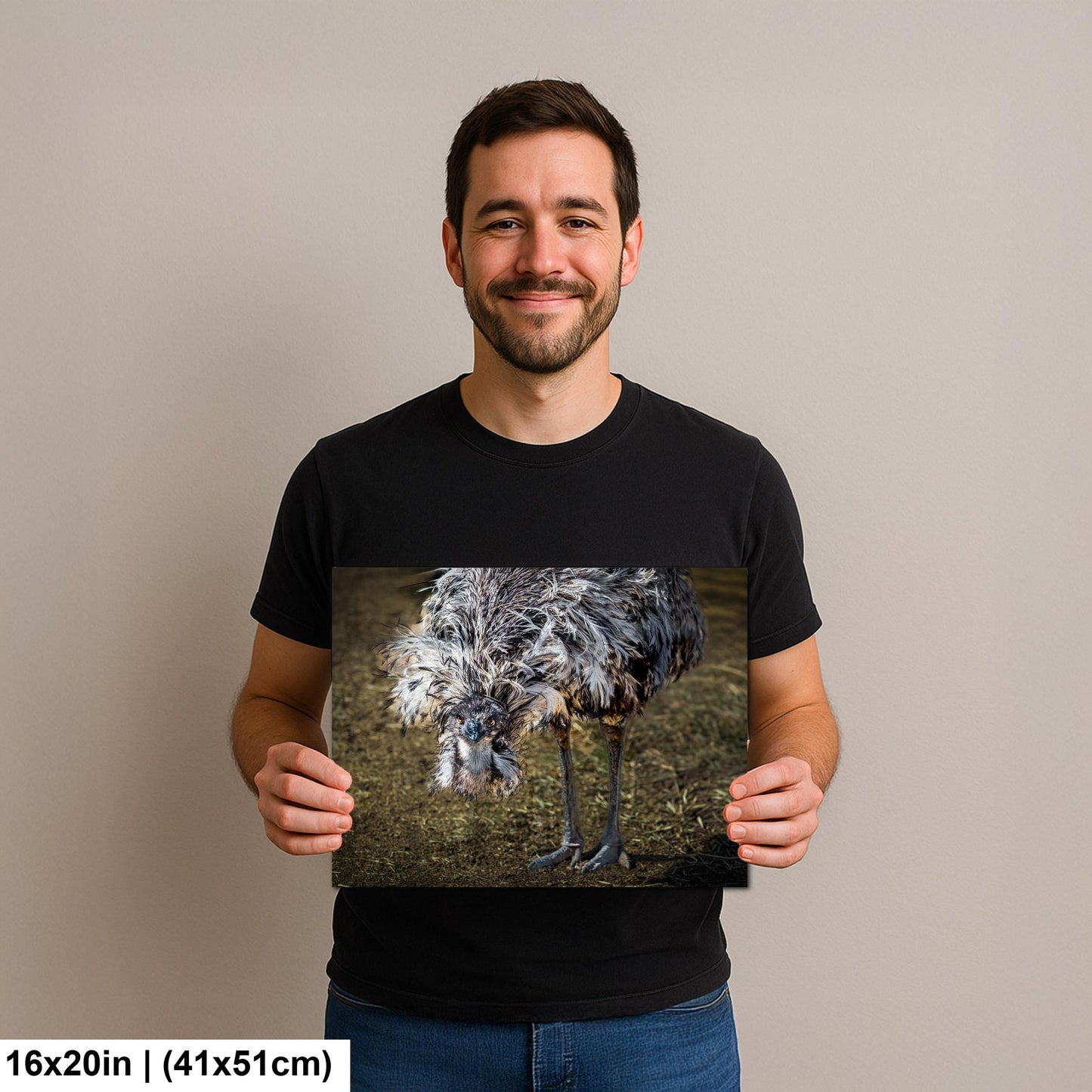 Emu Wildlife Portrait with Textured Feathers - Benson Arizona Photography Print