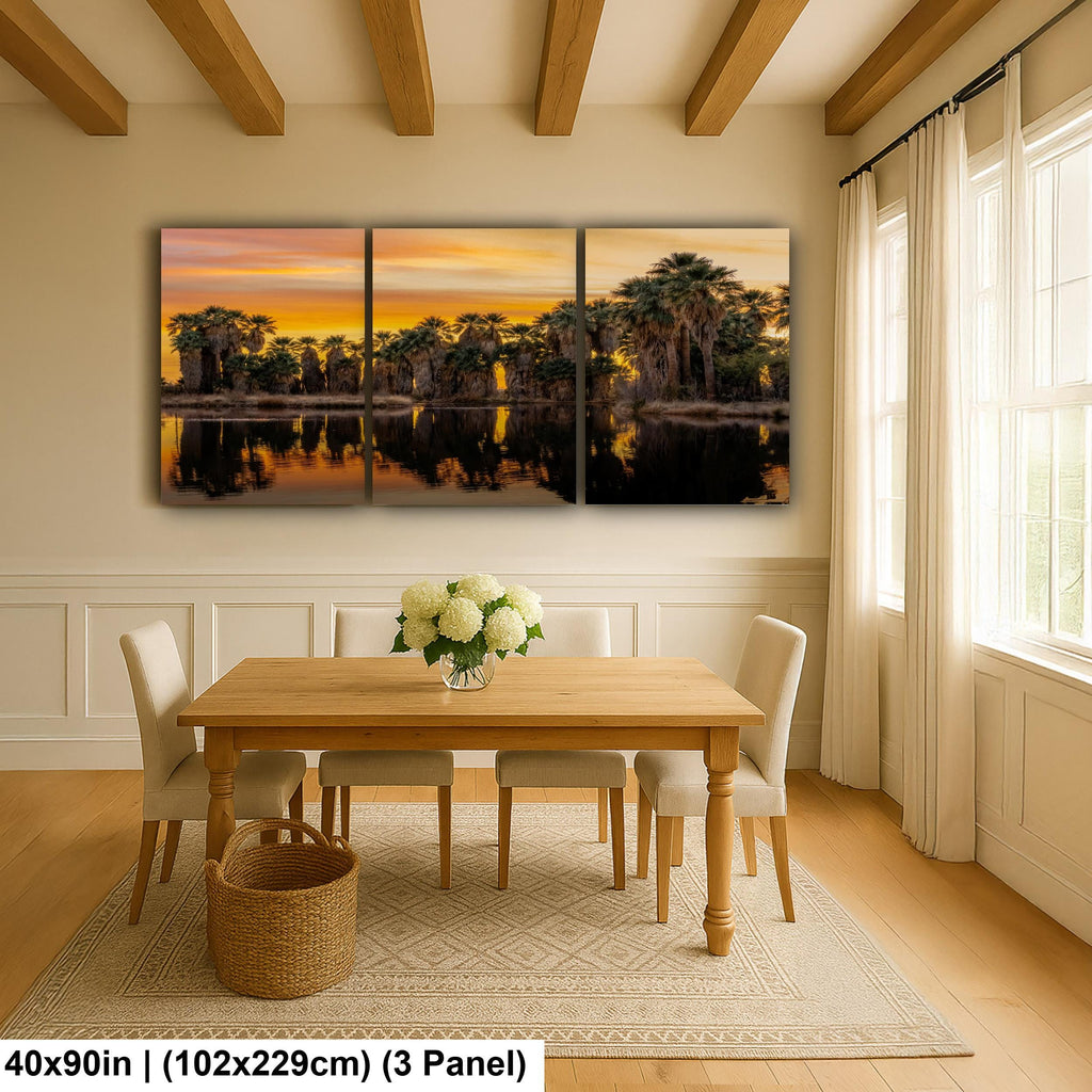 Agua Caliente Palm Grove Sunset Reflection - Tucson Arizona Photography Print