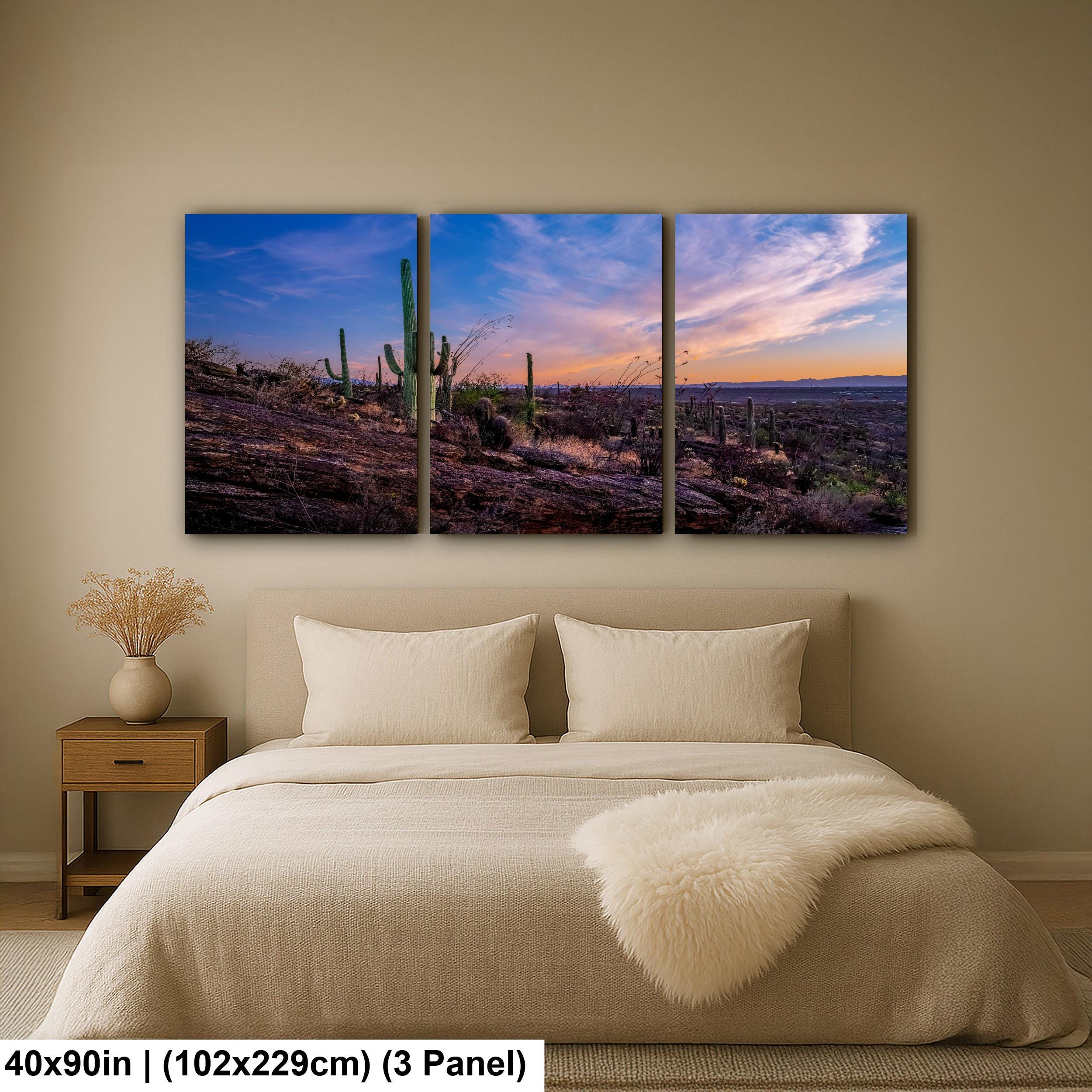 Rocky Sonoran Desert Hillside Sunset with Saguaros - Saguaro National Park East Tucson Photography Print