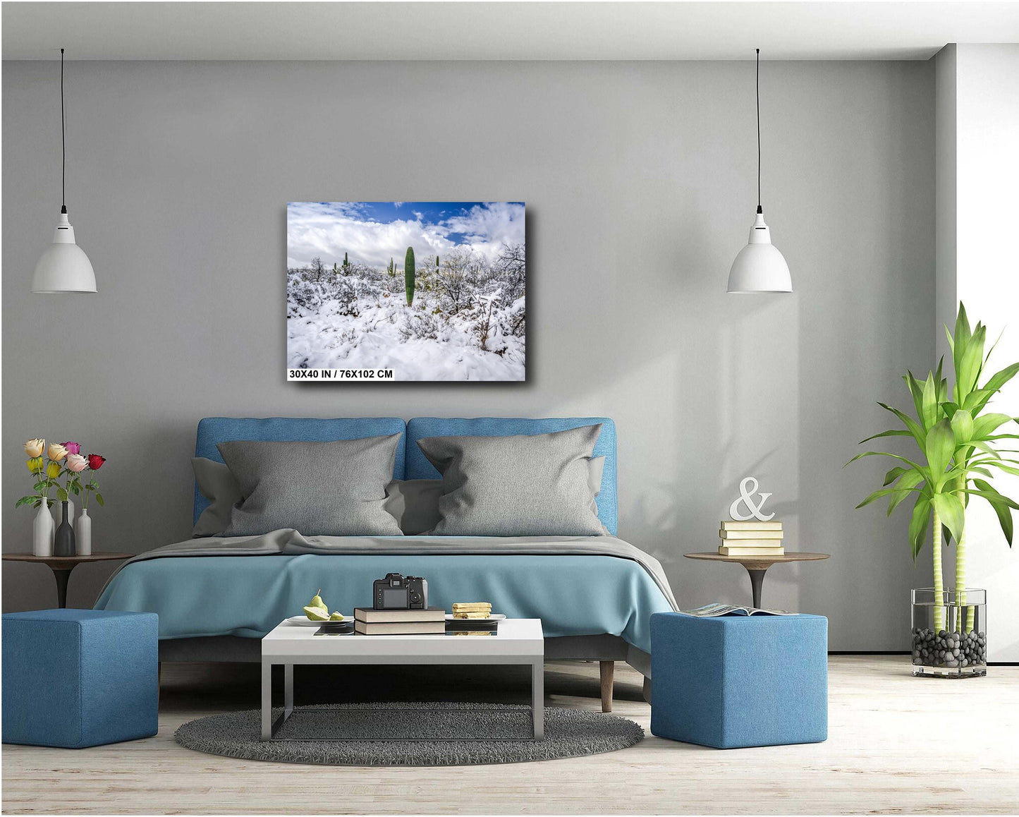 Saguaro National Park Print – Desert Wall Art | Winter Cactus Art in Tucson Arizona