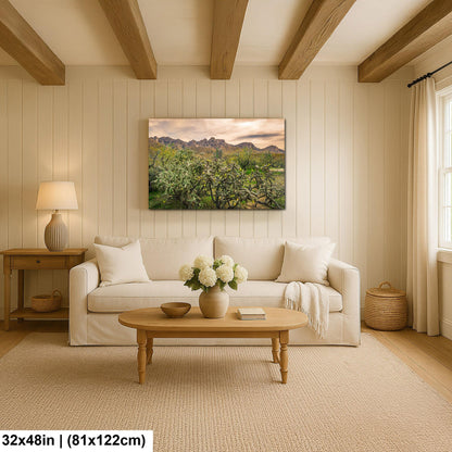 Catalina State Park Blooming Cholla - Tucson Arizona Desert Mountains Photography Print