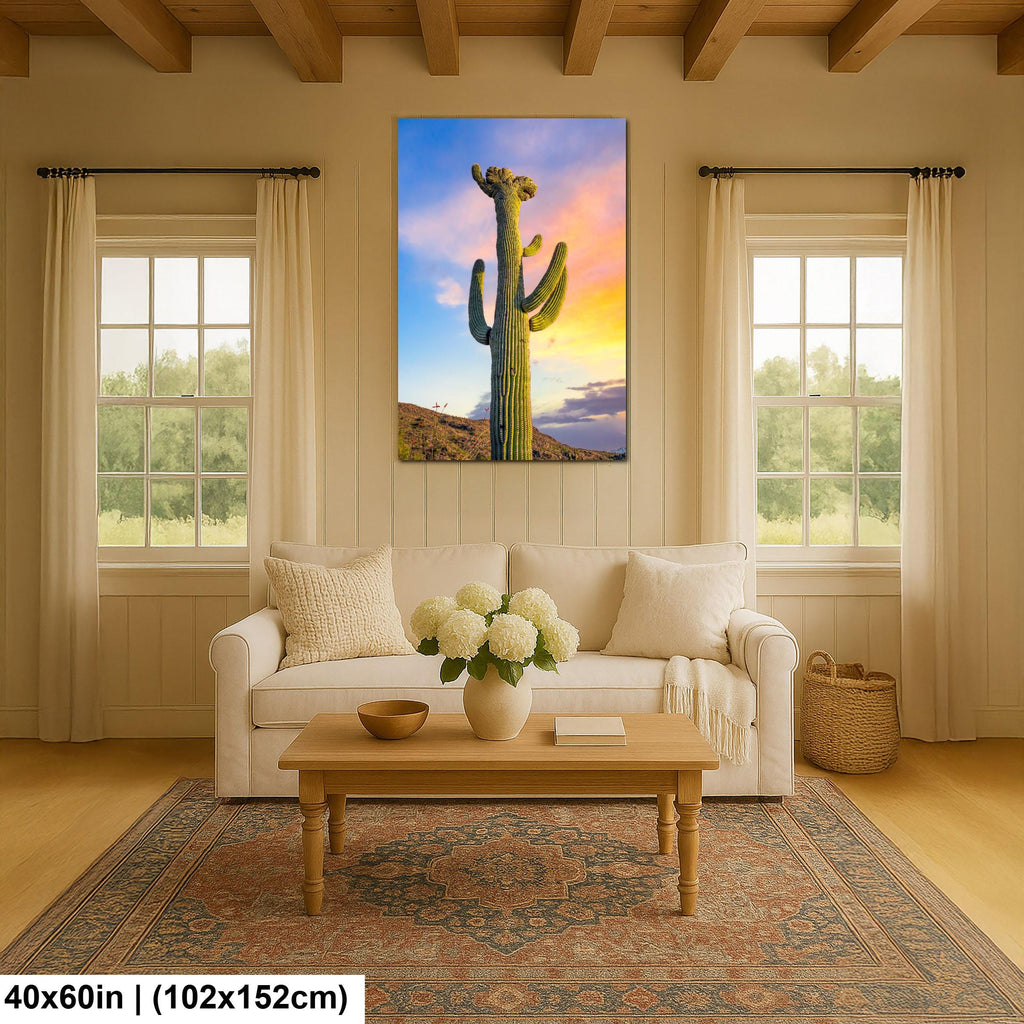 Saguaro Cactus at Sunset - Saguaro National Park East Tucson Arizona Photography Print