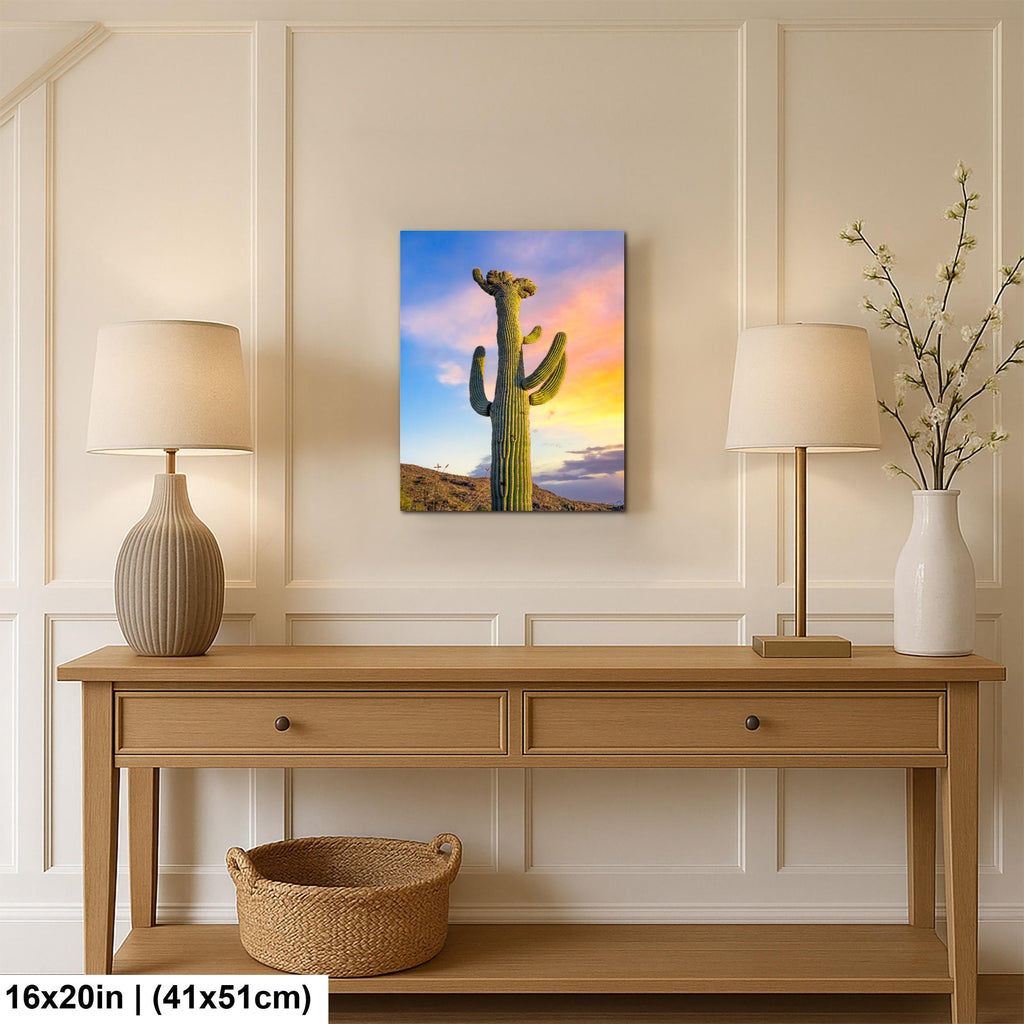 Saguaro Cactus at Sunset - Saguaro National Park East Tucson Arizona Photography Print