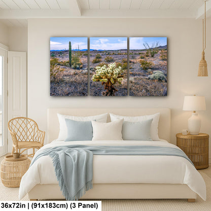 Teddy Bear Cholla in Bloom, Quartzsite Arizona Desert Landscape Photography Print