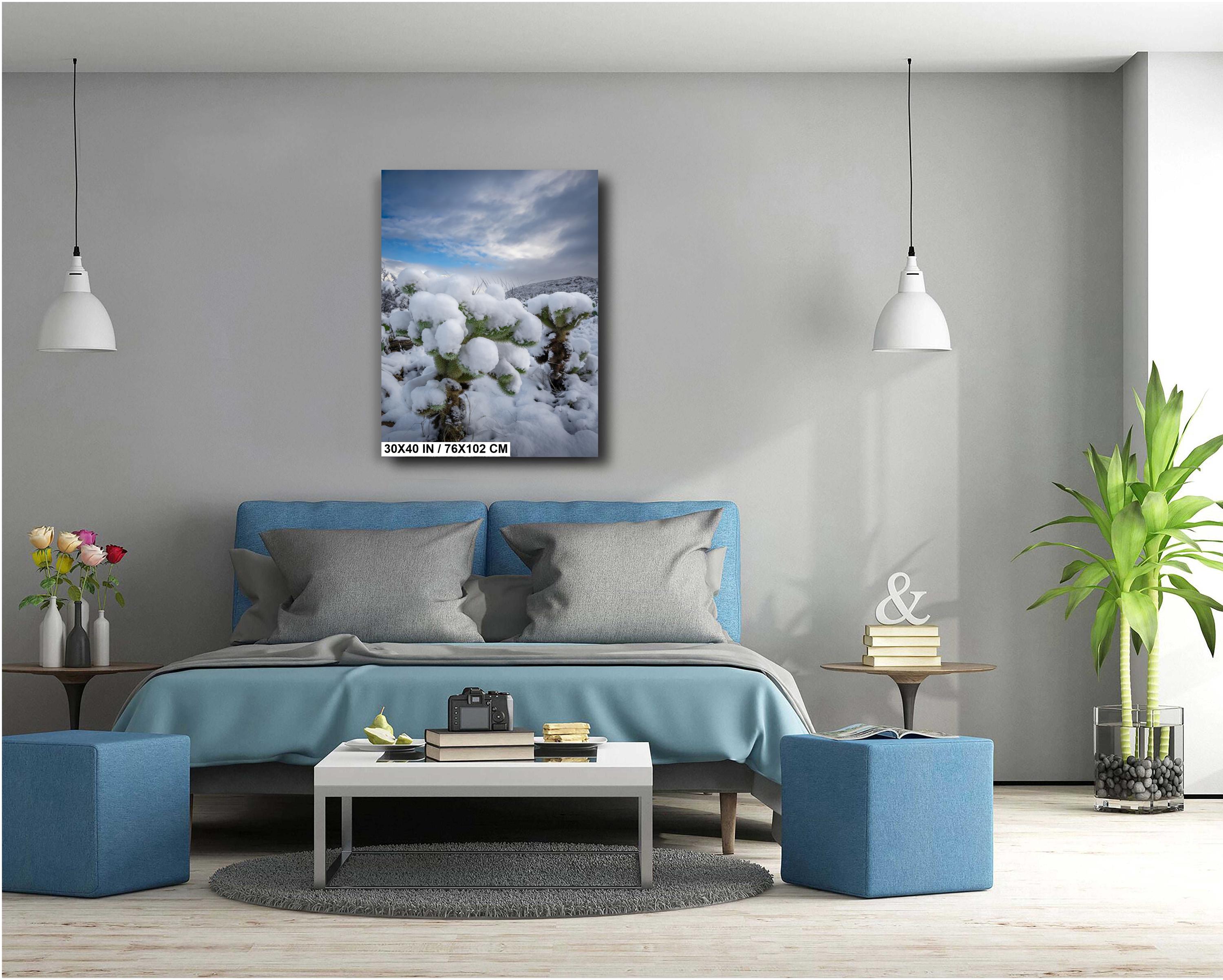 Snowy Cholla Cactus Print: Saguaro National Park Winter