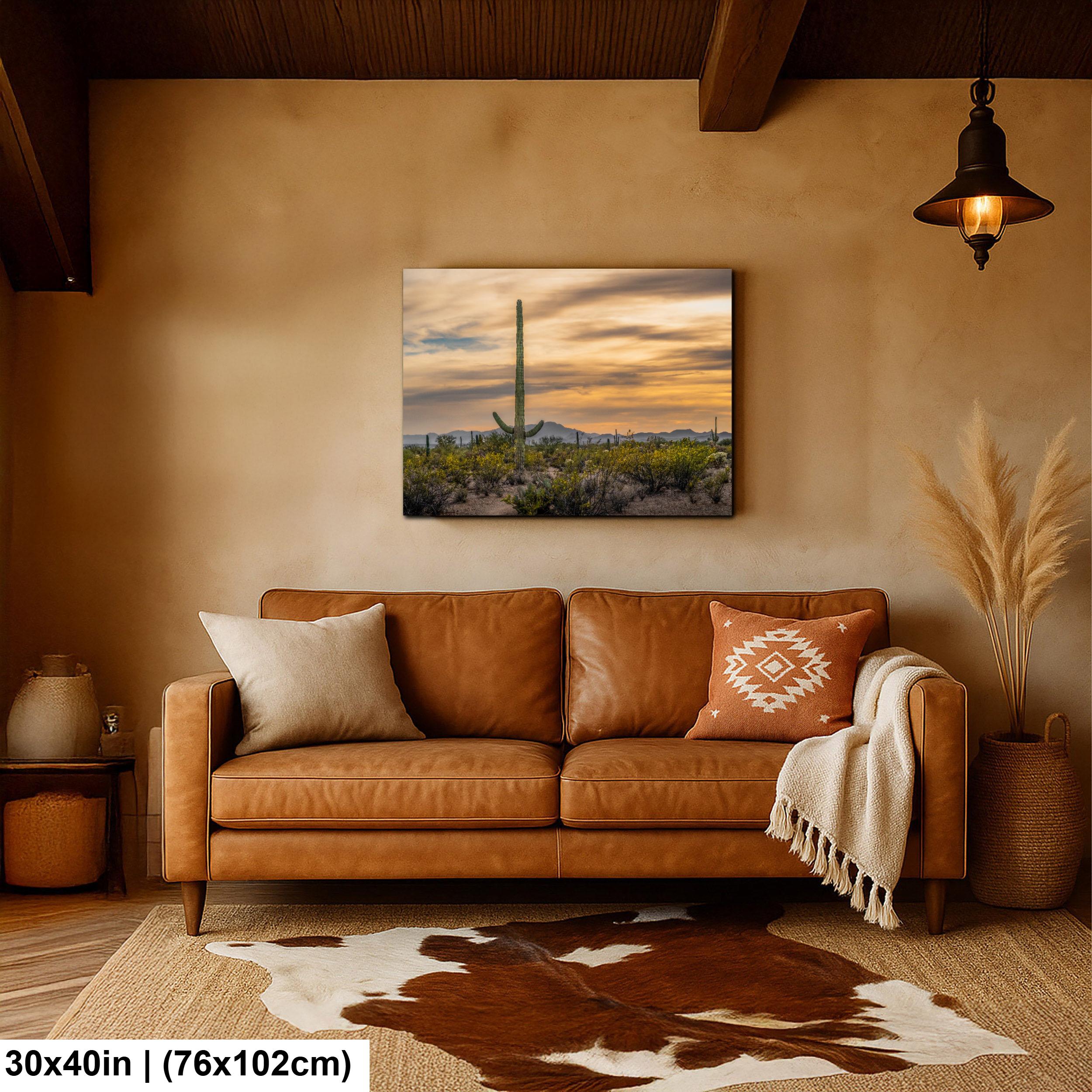 Sonoran Desert Sunset with Saguaro Cactus and Wildflowers Tucson Arizona Photography Print