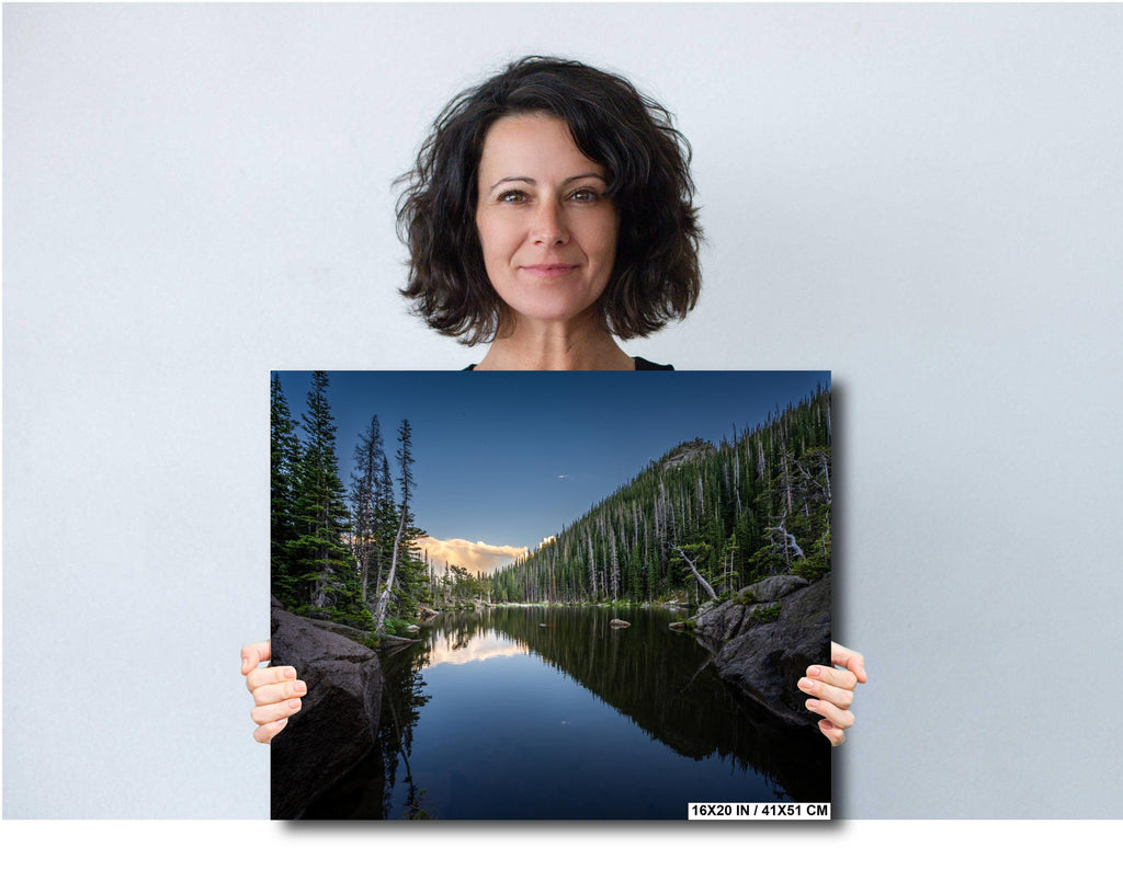 Dream Lake Pines Print: Rocky Mountain National Park Wall Art