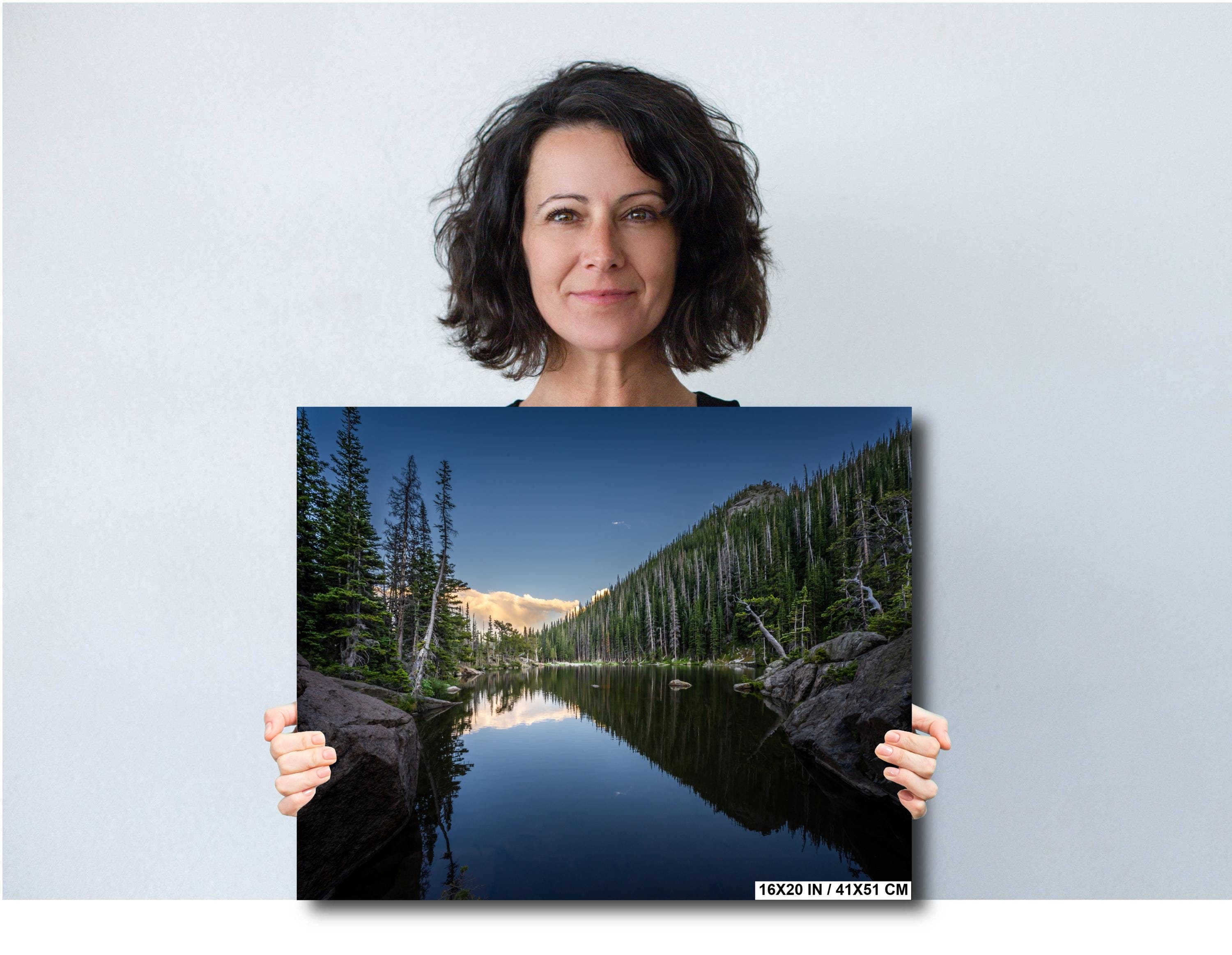 Dream Lake Pines Print: Rocky Mountain National Park Wall Art