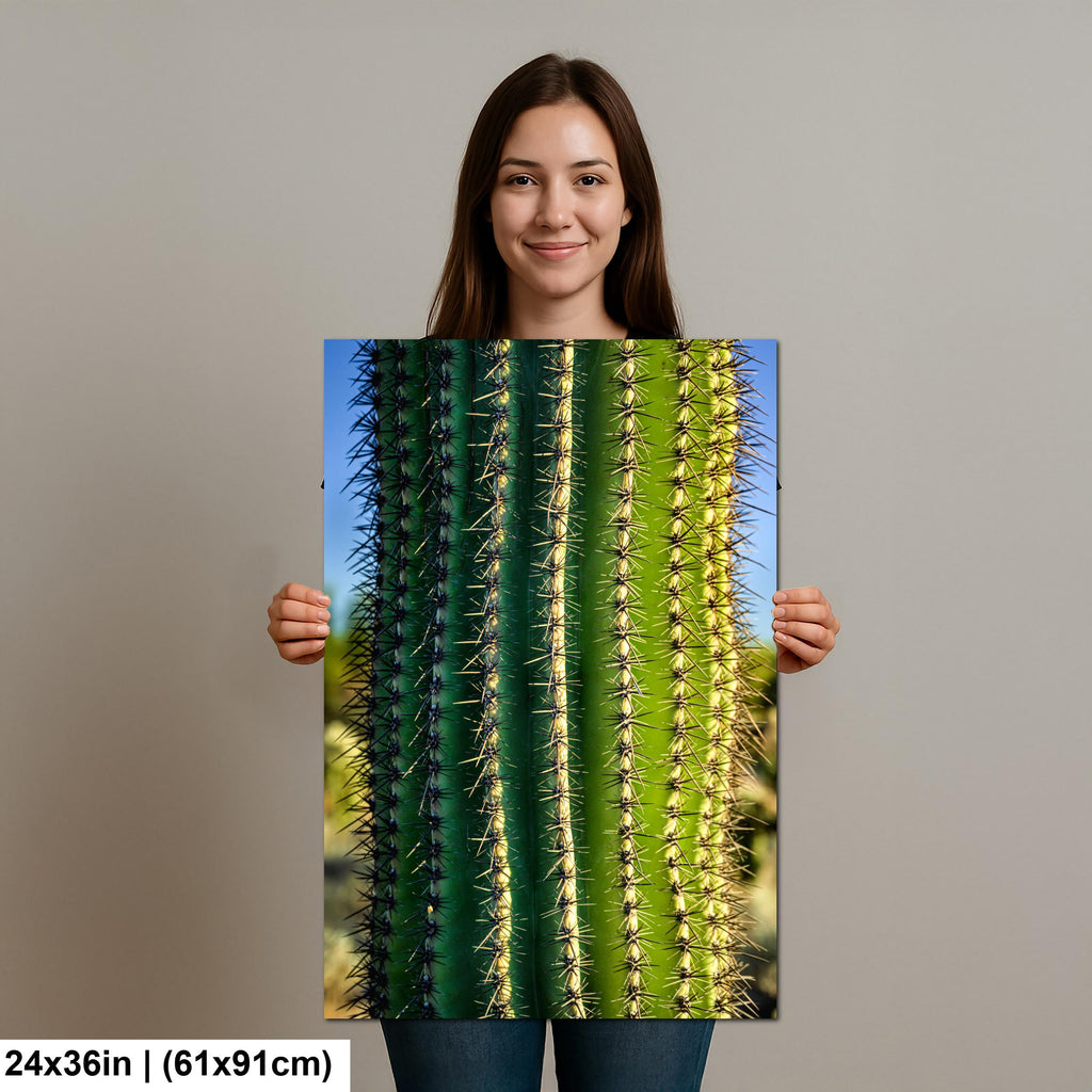 Saguaro Cactus Close-Up Photography Print, Oro Valley Arizona Desert Wall Art, Southwestern Decor, Green Cactus Spines