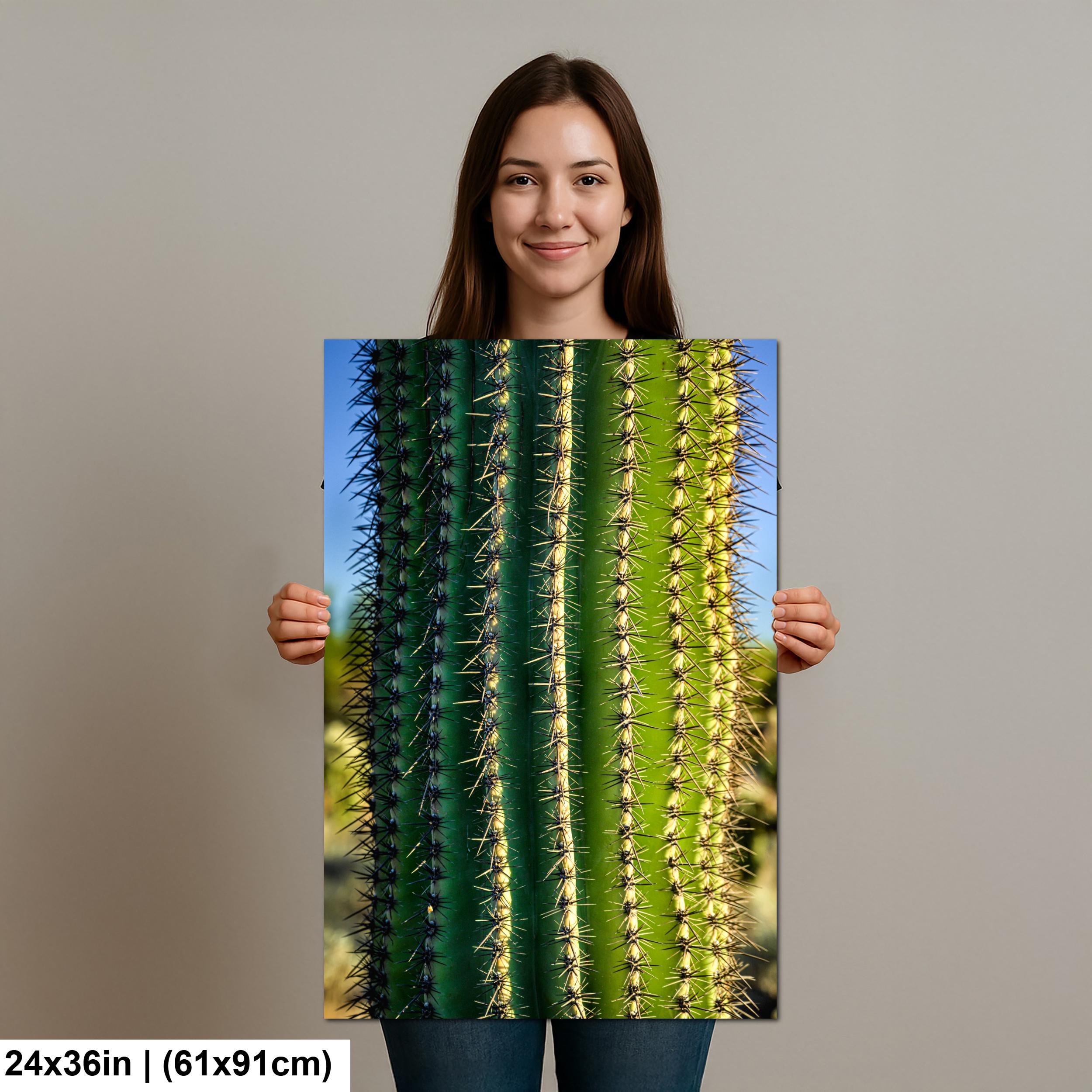 Saguaro Cactus Close-Up Photography Print, Oro Valley Arizona Desert Wall Art, Southwestern Decor, Green Cactus Spines