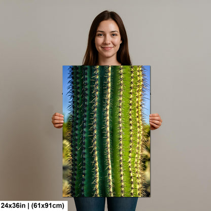 Saguaro Cactus Close-Up Photography Print, Oro Valley Arizona Desert Wall Art, Southwestern Decor, Green Cactus Spines