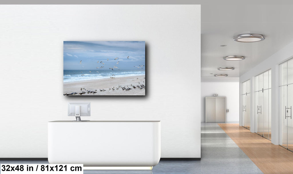 Seagulls Over Quiet Amelia Island Coastal Beach Florida Print Wall Art Photography Aluminum/Acrylic/Metal/Canvas Seascape Wildlife Decor