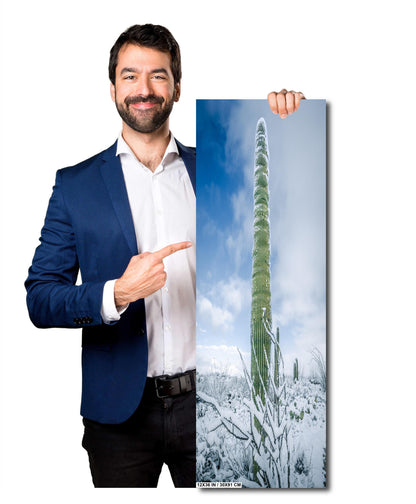 Black and White Saguaro Cactus Arizona Desert Photography Wall Art