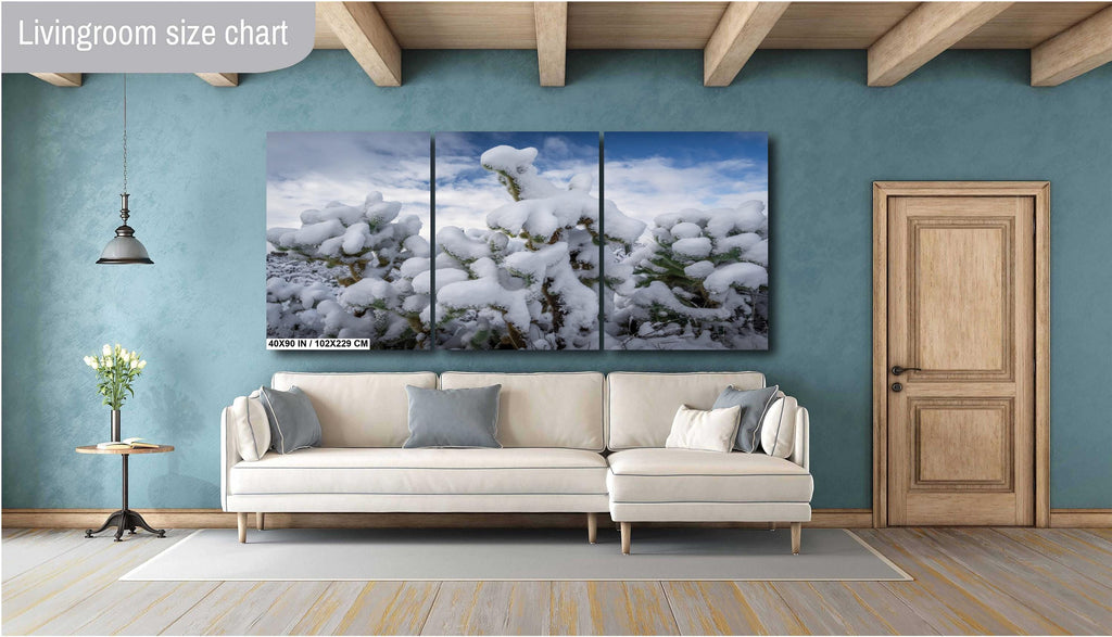 Saguaro Cactus Photography: Black and White Desert Wall Art