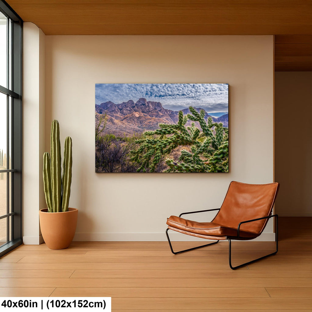 Cholla Cactus Arizona Desert Landscape Photography Wall Art
