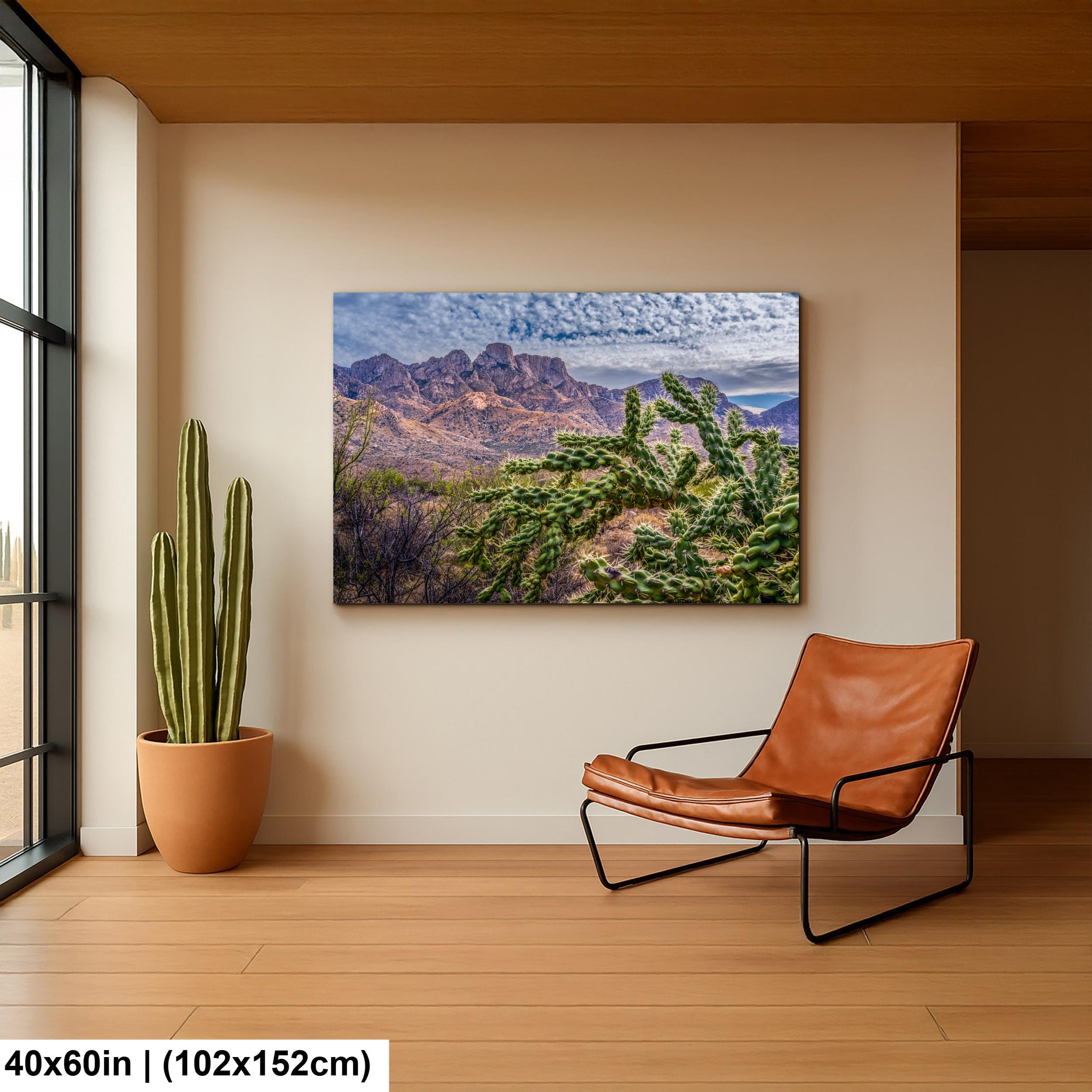Cholla Cactus Arizona Desert Landscape Photography Wall Art