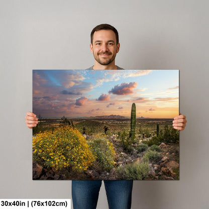 Arizona Sunset Overlook with Saguaros and Wildflowers - Casa Grande Sonoran Desert Photography Print