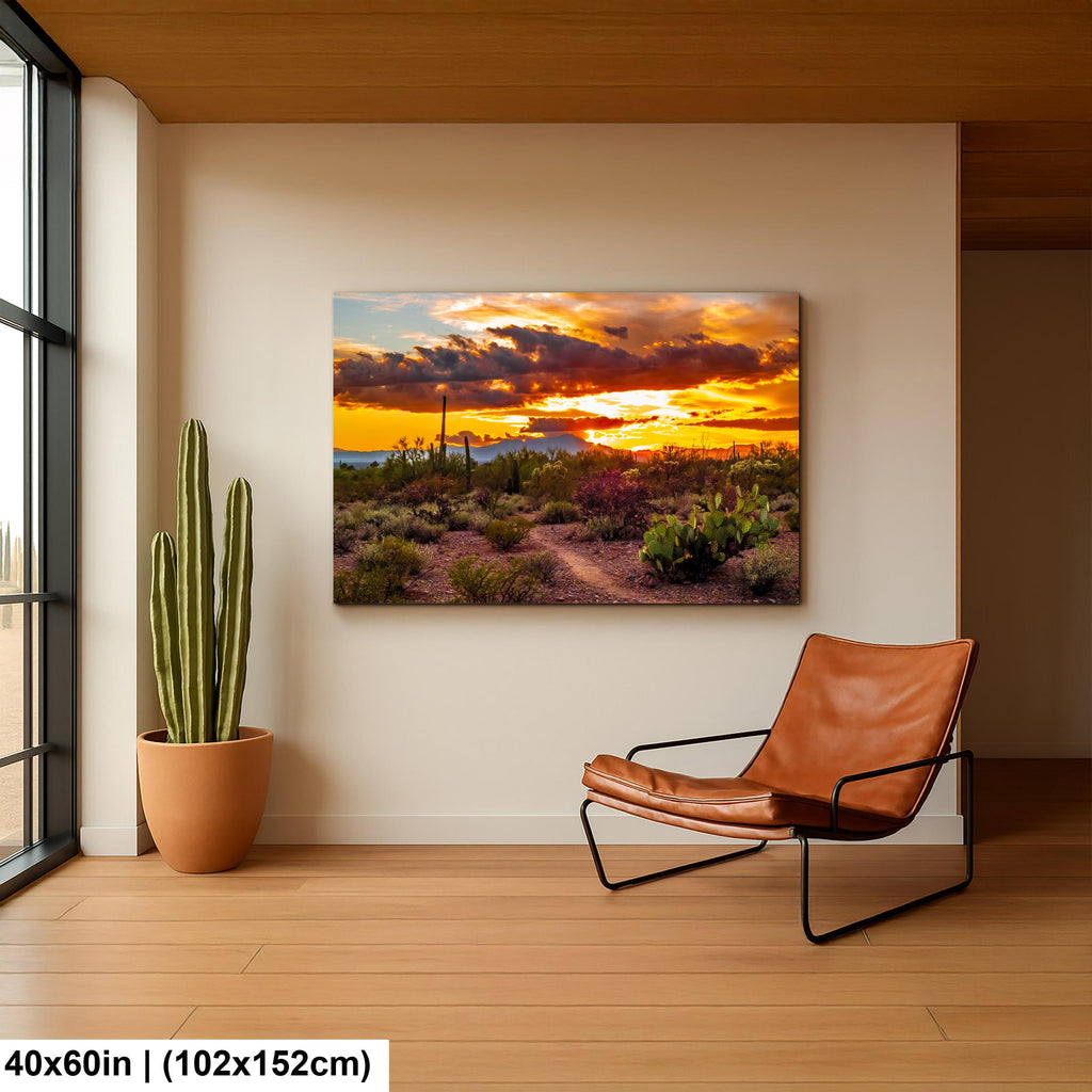 Fiery Sonoran Desert Sunset with Cactus, Tucson Mountain Park Arizona Photography Wall Art