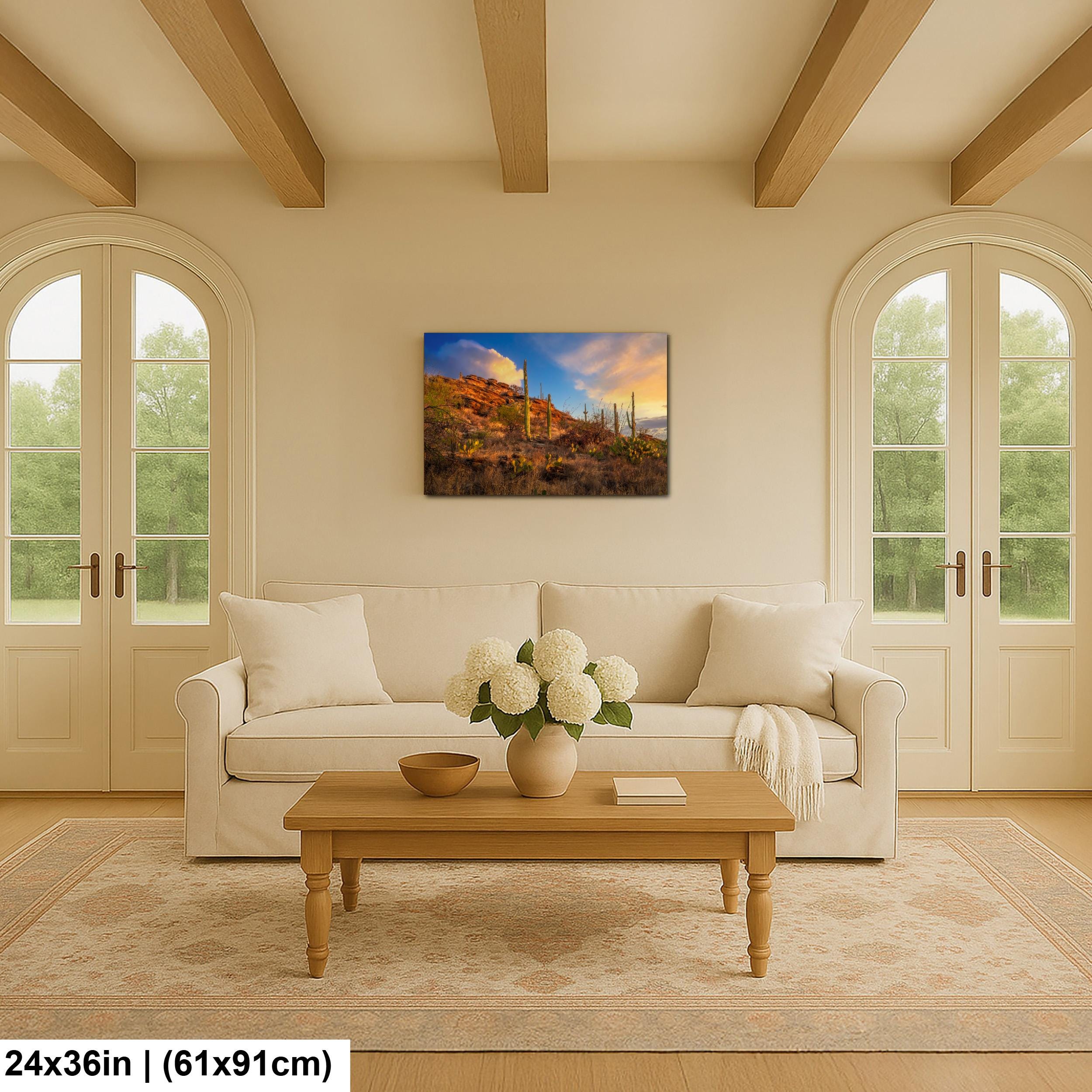 Sonoran Desert Sunset on Rocky Hillside - Saguaro National Park East Tucson Photography Print