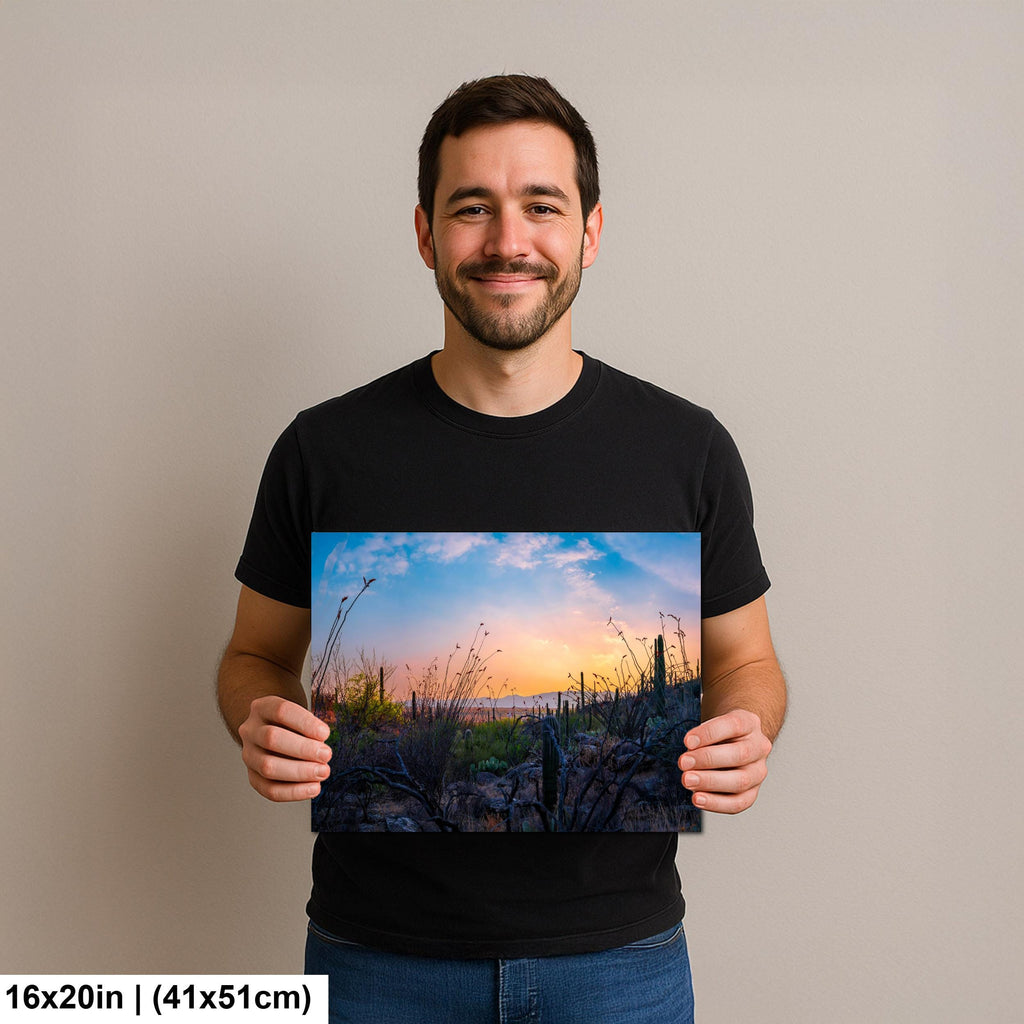 Sonoran Desert Sunset with Saguaros and Ocotillo - Saguaro National Park East Tucson Photography Print