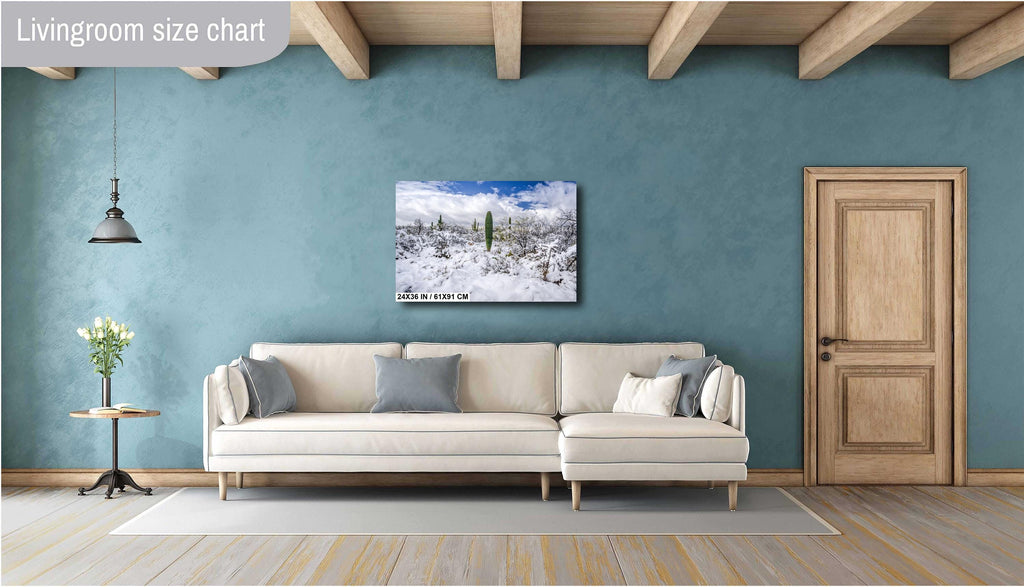 Saguaro National Park Print – Desert Wall Art | Winter Cactus Art in Tucson Arizona