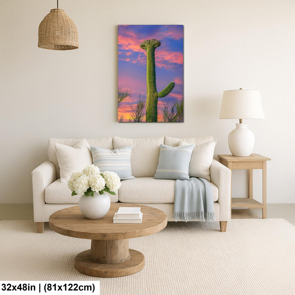 Crested Saguaro Cactus at Sunset - Saguaro National Park East Tucson Photography Print