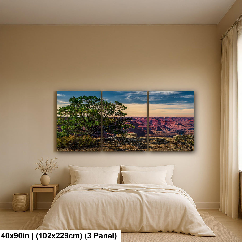 Juniper Tree Overlooking Grand Canyon, South Rim Arizona Wall Art, Canyon Landscape Photography Print