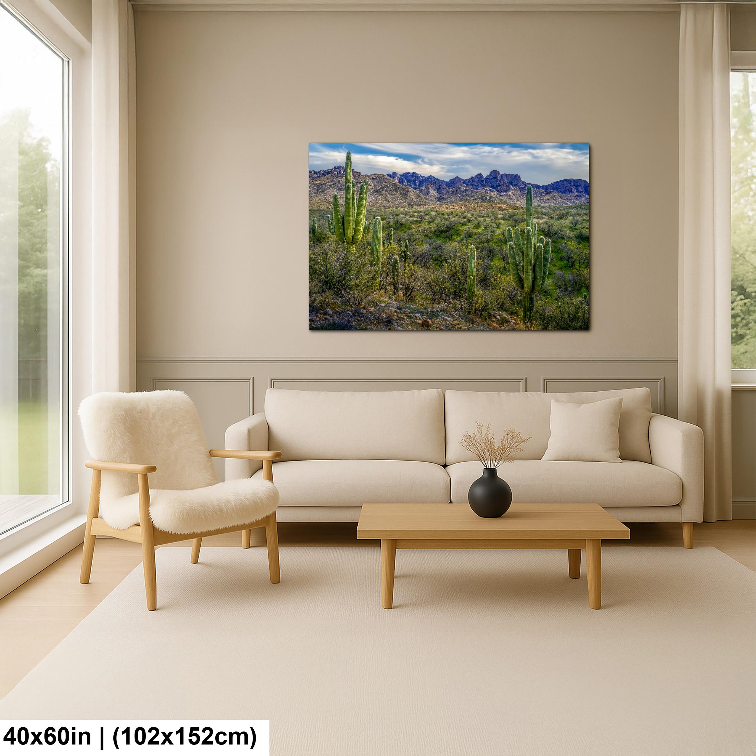 Sonoran Desert Landscape with Saguaros and Mountain Ridge - Tucson Arizona Photography Print