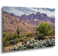Rugged Desert Beauty Arizona Catalina Mountains Sonoran Landscape Photography Wall Art