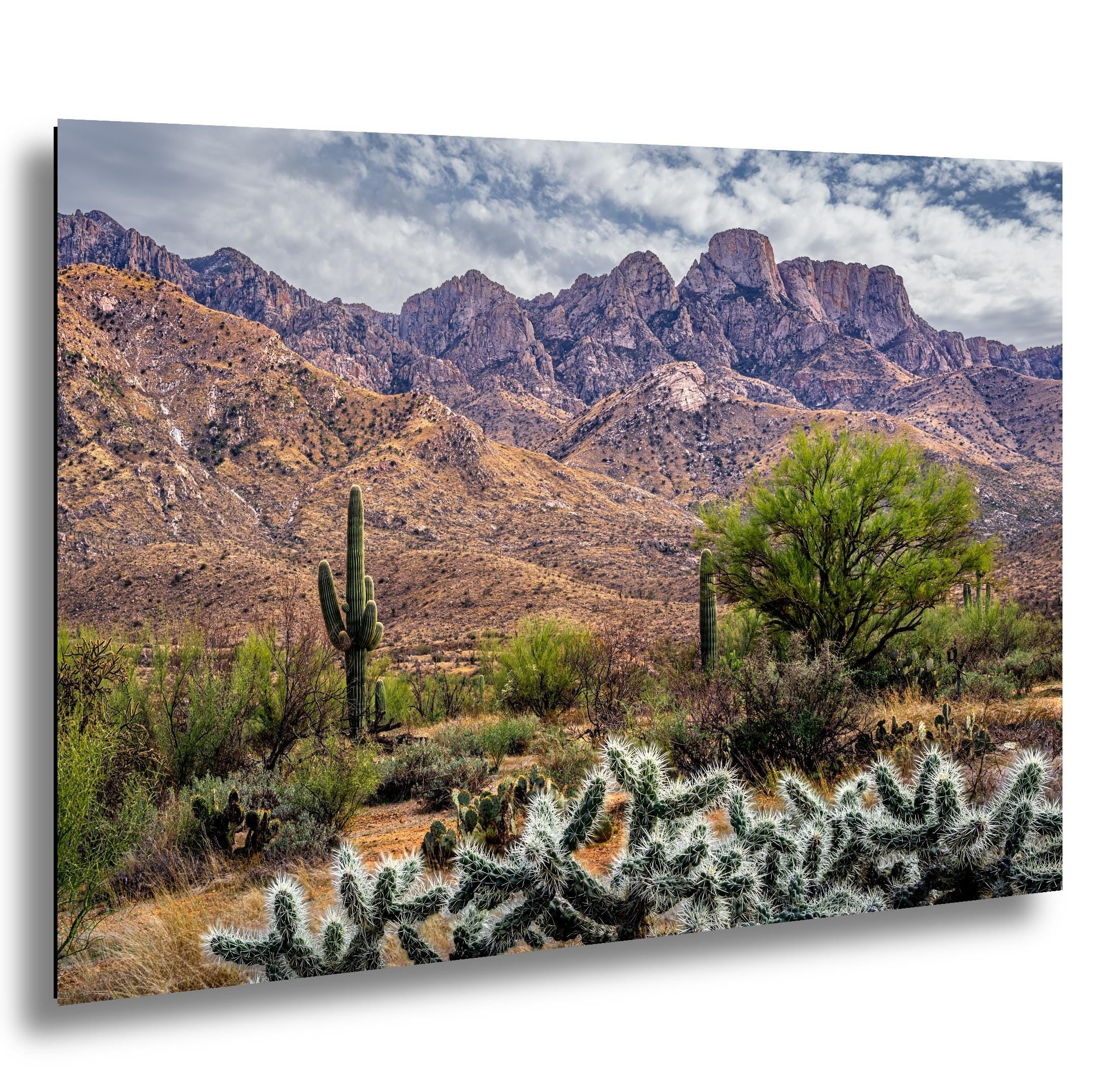 Rugged Desert Beauty Arizona Catalina Mountains Sonoran Landscape Photography Wall Art