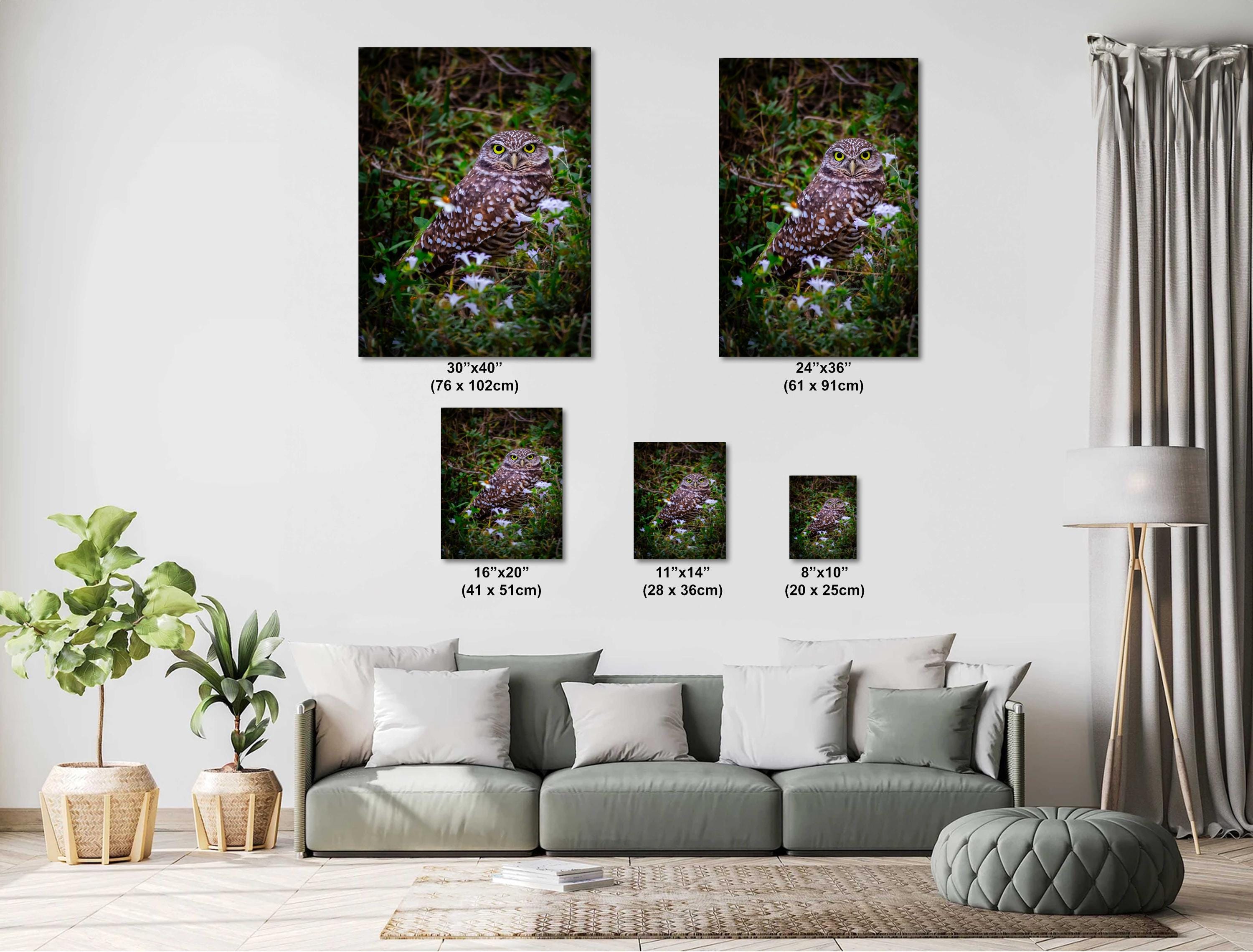 Burrowing Owl in the Wild – A Florida Treasure in Cape Coral Print The Americas Wall Art Photography Aluminum/Acrylic/Metal/Canvas