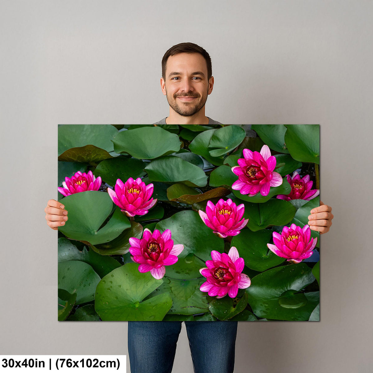 Magenta Blooms: Nymphaea Water Lilies Botanical Photography Wall Art