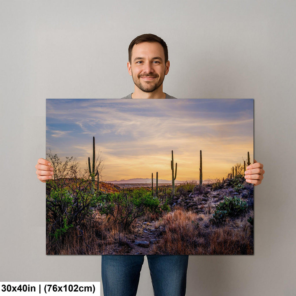 Sonoran Desert Valley Sunset with Saguaros - Saguaro National Park East Tucson Photography Print