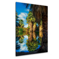 Oasis Reflections at California Hot Springs Palm Desert Photography Print, Desert Landscape Wall Art, Palm Tree Decor