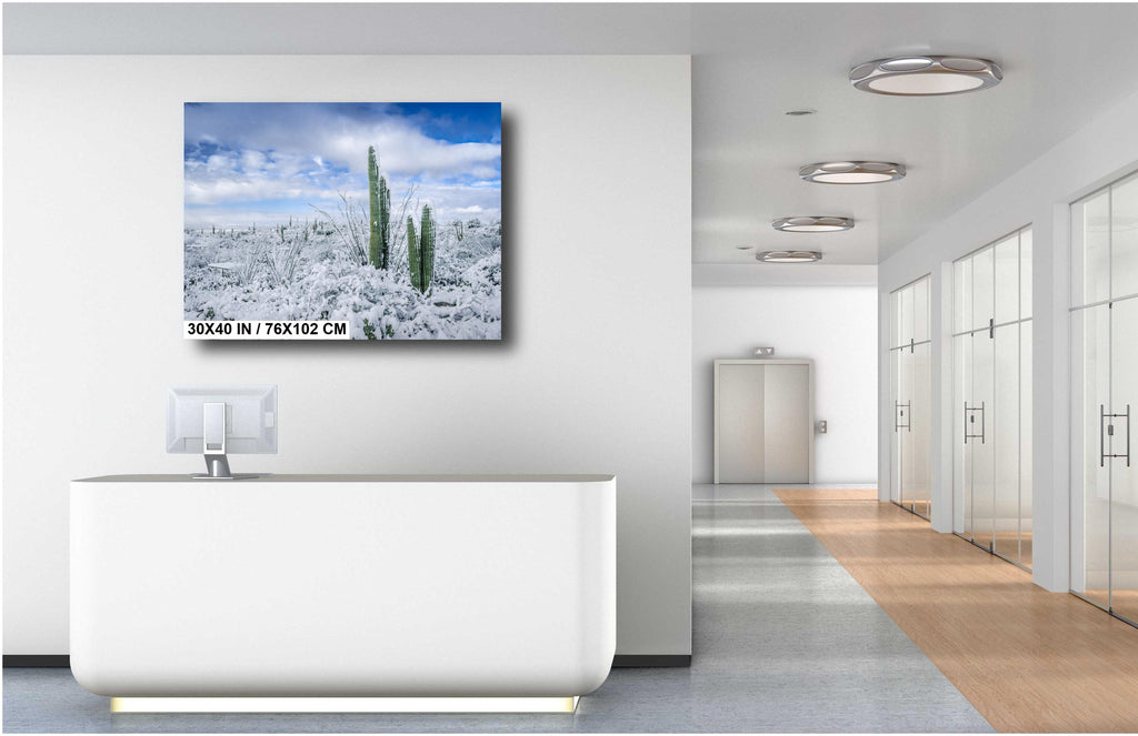 Saguaro National Park Winter Print: Arizona Desert Snow Scene
