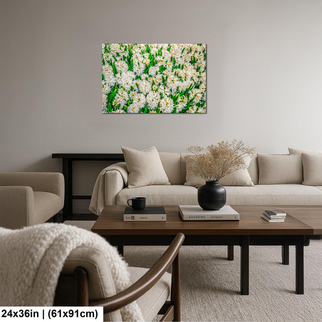 Spring Whites: White Hyacinth Flowers Botanical Photography Wall Art