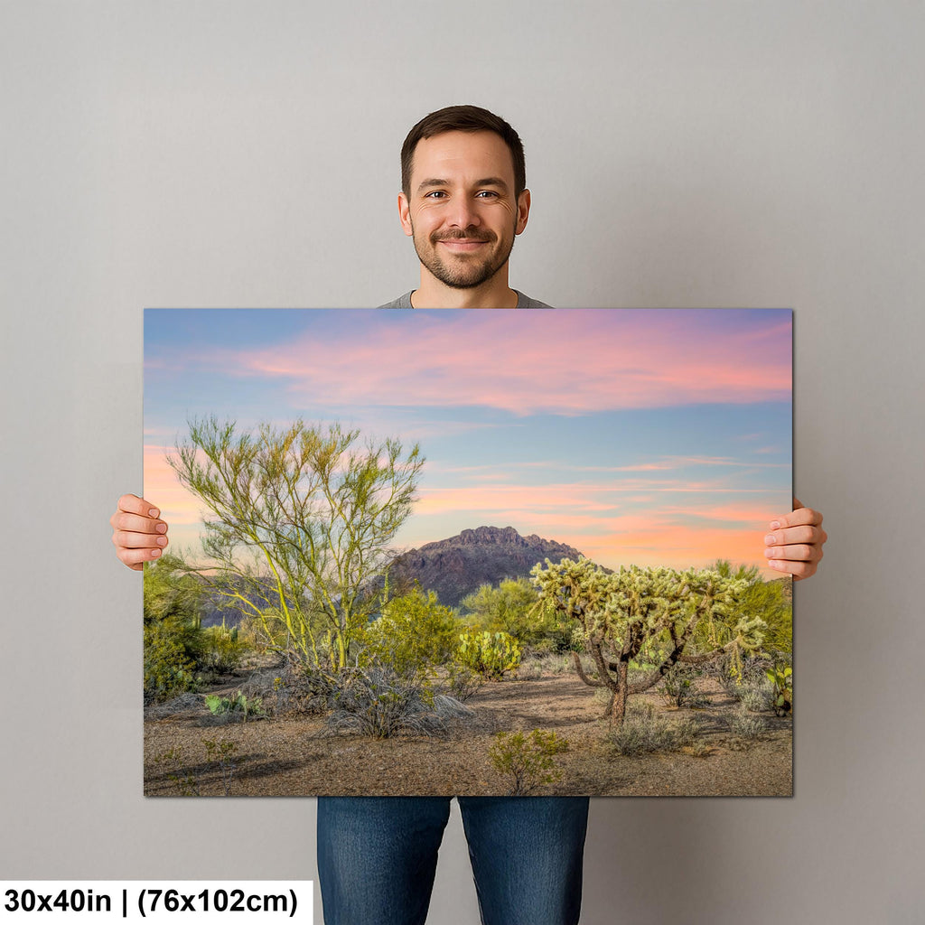 Cholla Cactus Sunset with Mountain View, Tucson Arizona Photography Print