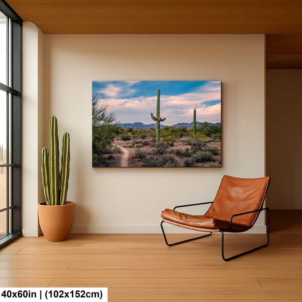 Pastel Sky Over Saguaro Cactus Trail Photography Print, Tucson Arizona Desert Landscape, Southwest Wall Art Decor