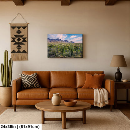 Catalina State Park Saguaro Sunset - Tucson Arizona Desert Mountains Photography Print