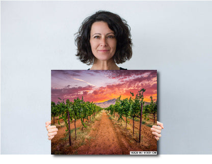 Arizona Wine Country: Coronado Vineyards Landscape Photography Wall Art
