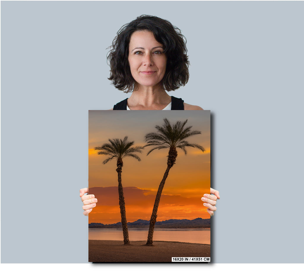 Lake Havasu Palm Tree Arizona Desert Nature Photography Wall Art