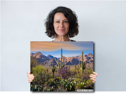 Desert Splendor: Saguaro Cactus Acrylic Metal Wall Art American Southwest Landscape Desert Photography