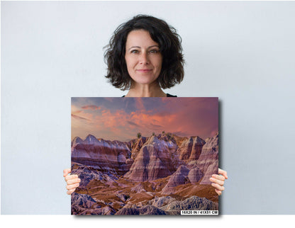 Petrified Forest Arizona Landscape Wall Art Photography