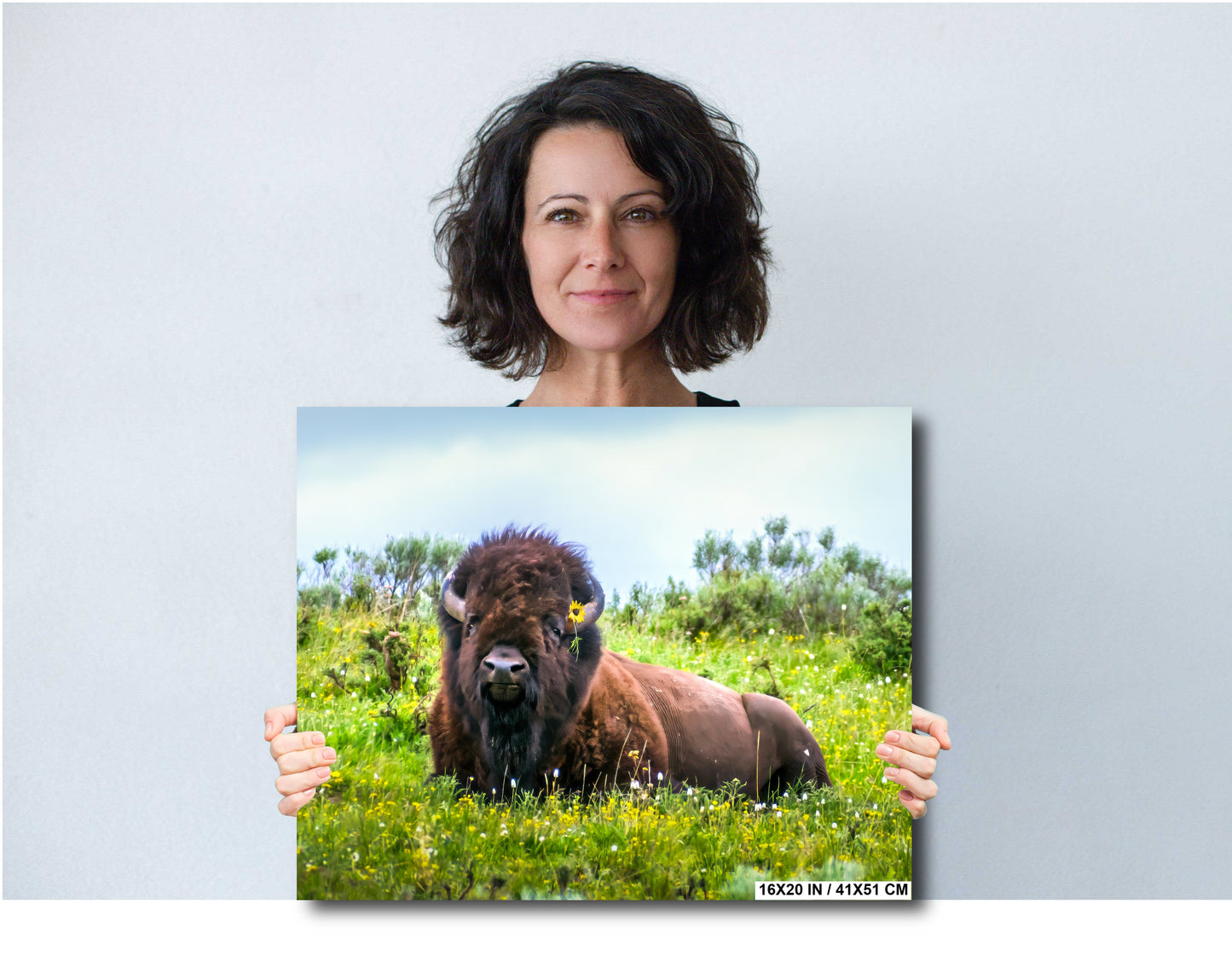 Flower Child: Bison Wildlife Photography Yellowstone National Park Poster Wyoming Nature Canvas Print