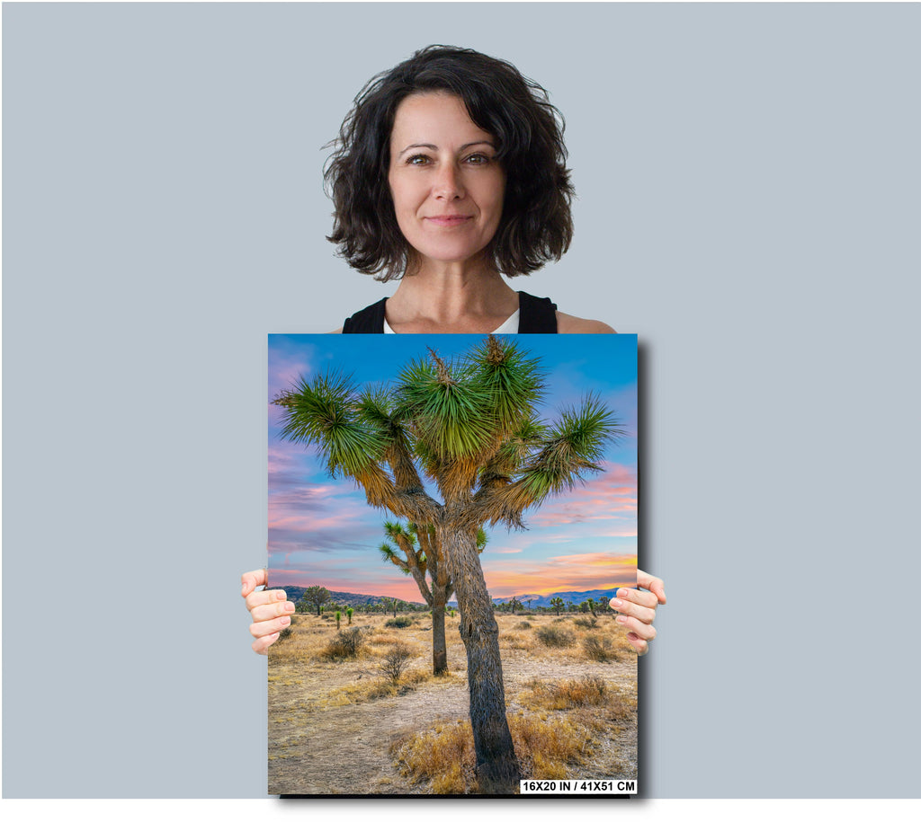 Joshua Tree National Park Print: California Desert Landscape Wall Art